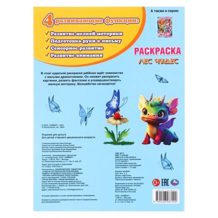 Раскраска «Лес чудес»-1