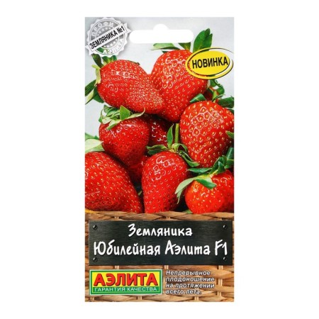 Strawberries "Jubilee Aelita" F1, C/P, 10 pcs