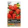 Strawberries "Jubilee Aelita" F1, C/P, 10 pcs