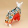 Dogs "Bear Teddy", size 22 (DS 48, OG 54, Osh 38 cm), orange