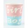 Set of disposable dishes "Gender Pati", 15 items