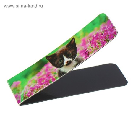 A set of magnetic bookmarks 6 pieces "kittens", assorted-4