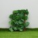 Decorative fence, 110 × 40 cm, "Liszt alder", Greengo