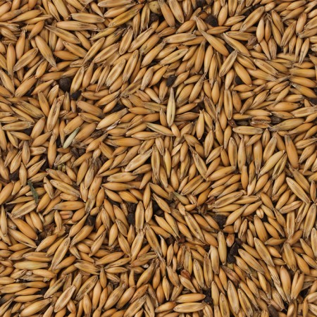 Oats "Perriko" for birds and rodents, 200 g-1