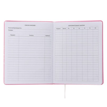 Universal diary for grade 1-11, hard cover, artificial leather, foam rubber, lies, 80 g/m2-3