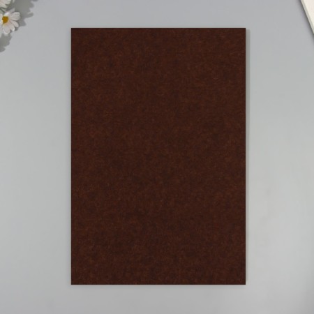 A set of hard felt (5 sheets) 1 mm 20x30 cm, brown-2