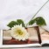 Artificial flowers "Tensor" 46x10 cm, white