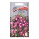 Flowers Cataranth Ampelus "Atlant", 10 pcs