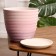 Pot Flower Boule up Pink Crocus No. 4, 4.2 l, D - 20.8 cm