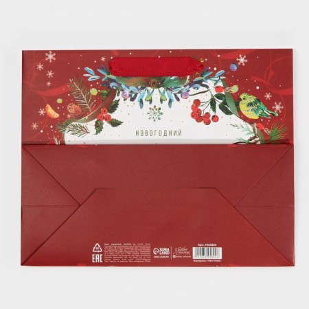 Laminated horizontal package “Frosted”, MS 18 x 23 x 10 cm, New Year-6