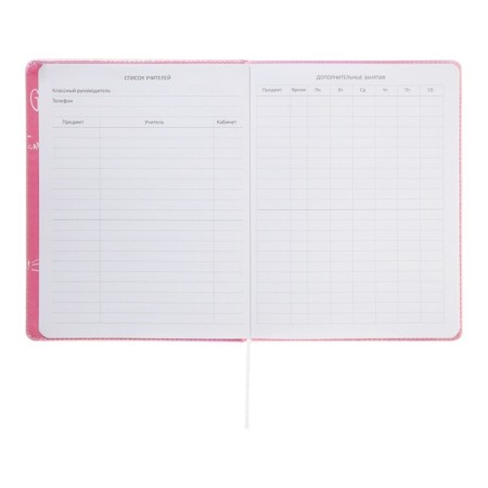 Universal diary for the 1-11 grade Forget Trubles, solid cover, artificial leather, silkography, lies, 80 g/m2-6
