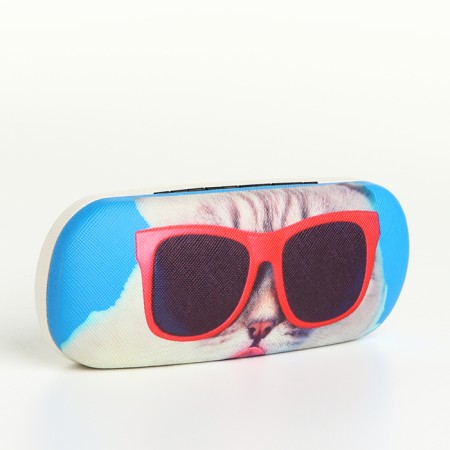 Case case on the cracker, the color is blue