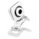 Camera OK-C8812 White 0.3MPIX (640x480) USB2.0 with a microphone