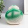 Growing gift Eco -Zhizhivchik "Turtle" MIX