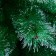 Cedar "silver" layer stand, 90 cm D needles 10 cm D of the lower tier 58 cm 57 branches