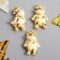 Magnet Polystone "Goby-Patter" MIX 6.3x4.3 cm