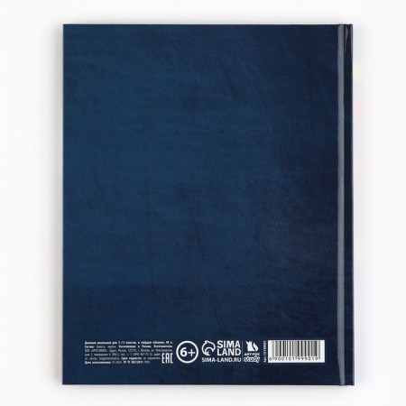 School diary 5-11 grade, in a solid cover, 48 liters. "School accessories"-5