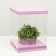 Box for flowers with a vase and PVC windows are folding, lilac, 23 x 30 x 23 cm
