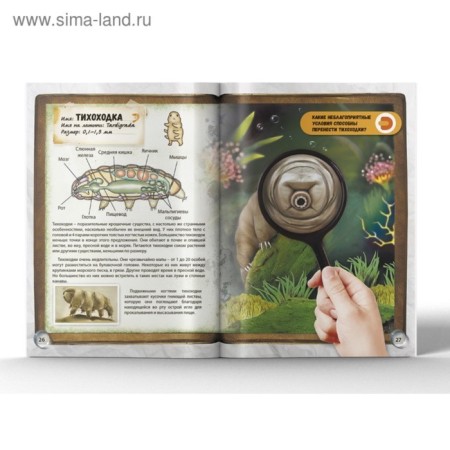 4D encyclopedia in augmented reality "World under a microscope"-7
