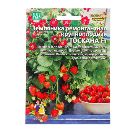 Strawberries "Tuscan" 5 pcs