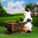 Garden figure "Cow with a cart" 34cm