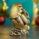 New Year. Symbol 2025. Figure "Snake in the Egg" 4x4x7cm, bronze