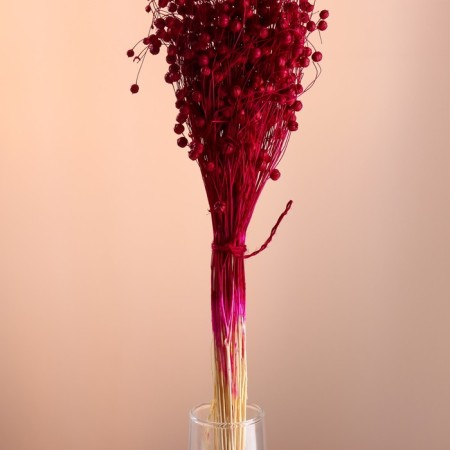 A set of dried flowers "Lenon-long", banch length 55-60 (+/- 6 cm), fuchsia-1