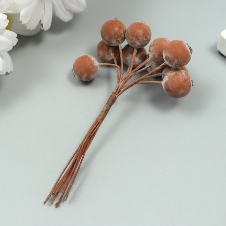 Decor for creativity "Berry of Rowan" 1 bouquet = 10 berries brown yoke 10x1.5 cm-1