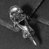 Ring "Claw" Skull, color black silver, 20 size