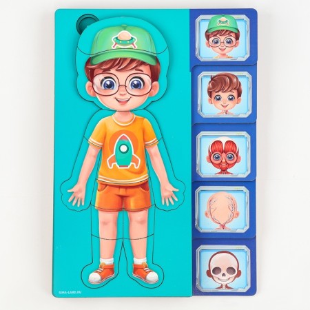 The training set "Human Body", a frame-laying frame and a book with stickers-5