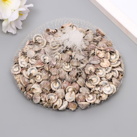 Set of decorative shells "Astra 122" 100 g-2