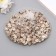 Set of decorative shells "Astra 122" 100 g