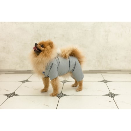 Winter overalls for animals, fleece, 2xl (DS 34-36, Osh 34-36, OG 44-48 cm), gray-10