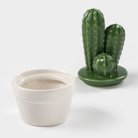 Ceramic Bank for spices "Cactus", 170 ml, 8 × 8 × 15 cm-1
