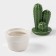 Ceramic Bank for spices "Cactus", 170 ml, 8 × 8 × 15 cm