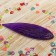 MOLD Plastic ST-0001-2 "Universal lily leaf" 17x5.5 cm mix