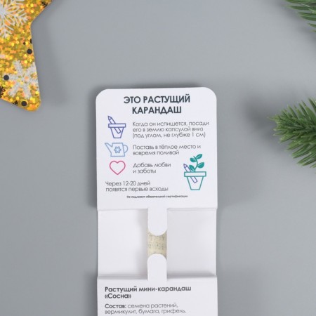 Growing gift pencils Mini "Pine"-3