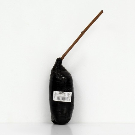 Raspberry traditional varieties "Capital", 1 pc, tube, spring 2025-2