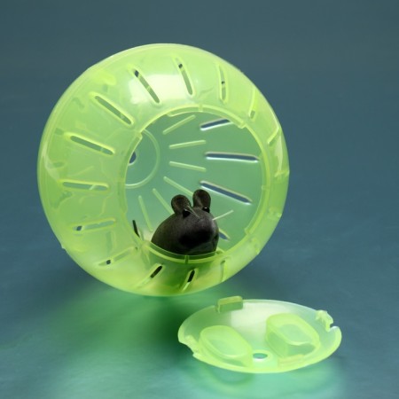Ball for rodents on a plastic base, 12 cm, mix of flowers-4