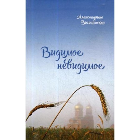 Visible invisible: Stories. Vigilyanskaya A.V.