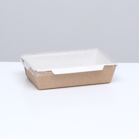 Container with a flat lid, craft, 0.8 l, 19 x 13 x 5.5 cm-2