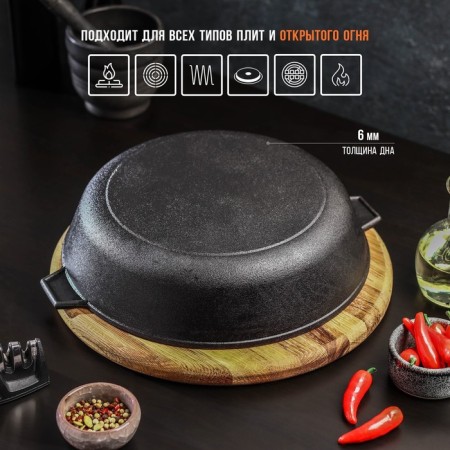 Small cast -iron magma, d = 26 cm, h = 6 cm, with two ears-2