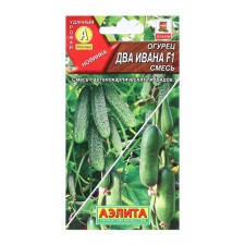 Seeds of cucumber 