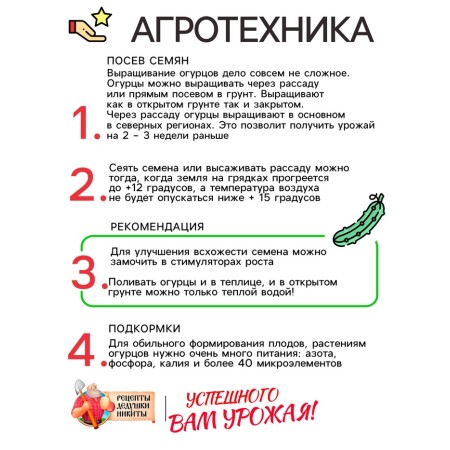 Cucumber seeds "Shorty", 0.4 g-3