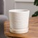 Flower pot "Nest" Platan white №2 1.13 liters