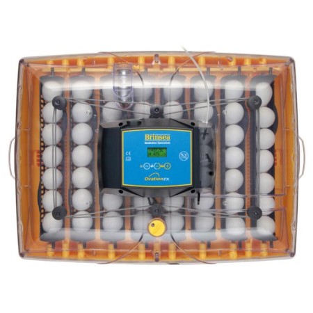 Incubator, 56 eggs, automatic coup, 220 V, ovation-2