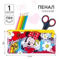Penal soft, 10x21 cm, Minnie Mouse