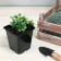 Pot for seedlings, 500 ml, d = 9 cm, h = 10 cm, mix