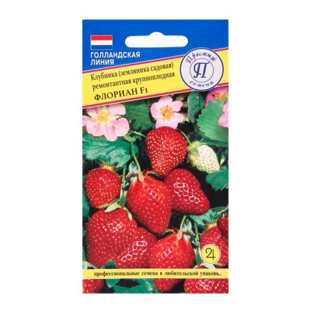 Florian strawberry seeds F1. 5 pieces-2