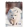 Notebook on spirals A6, 80 sheets, cage, Erichkrause "Fluffs", cardboard cover, OFSET unit, whiteness 100%, mix